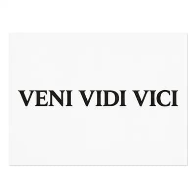 «Veni vidi vici» латынь — пришёл, увидел, победил