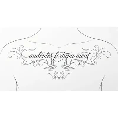 Тату эскиз: На середине груди написано audentes fortuna iuvat в красивом каллиграфическом формате. Дополнить тату синхронно каким-нибудь ласточкой под названием, и кистями пальцев которые соприкасаются между собой на ключице. Может быть линии какие-нибудь красивые туда добавить можно