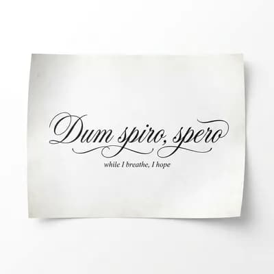 «Dum spiro spero» латынь — пока дышу, надеюсь