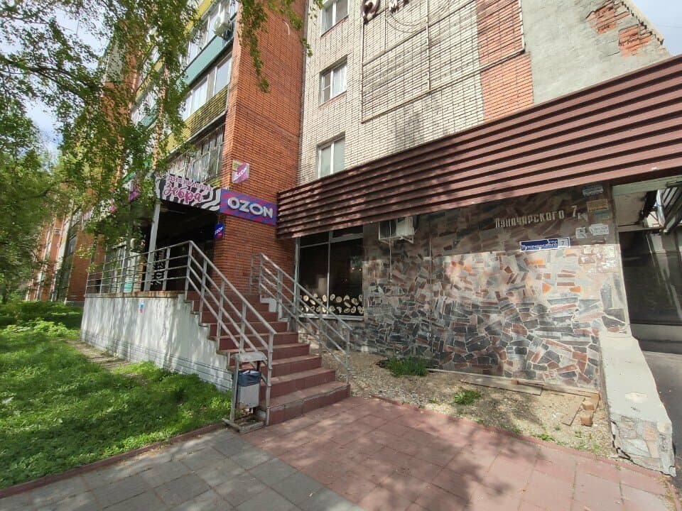 Зебра