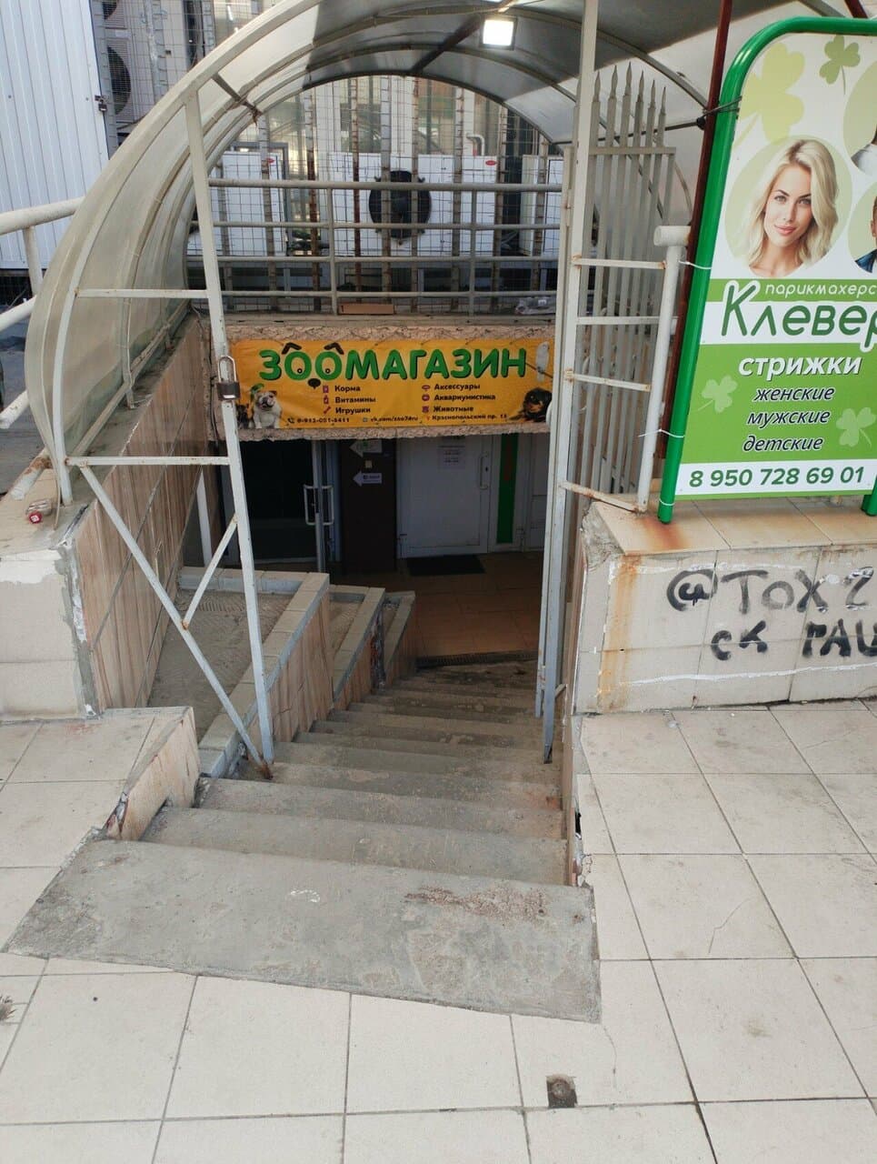 Расписной нарцисс