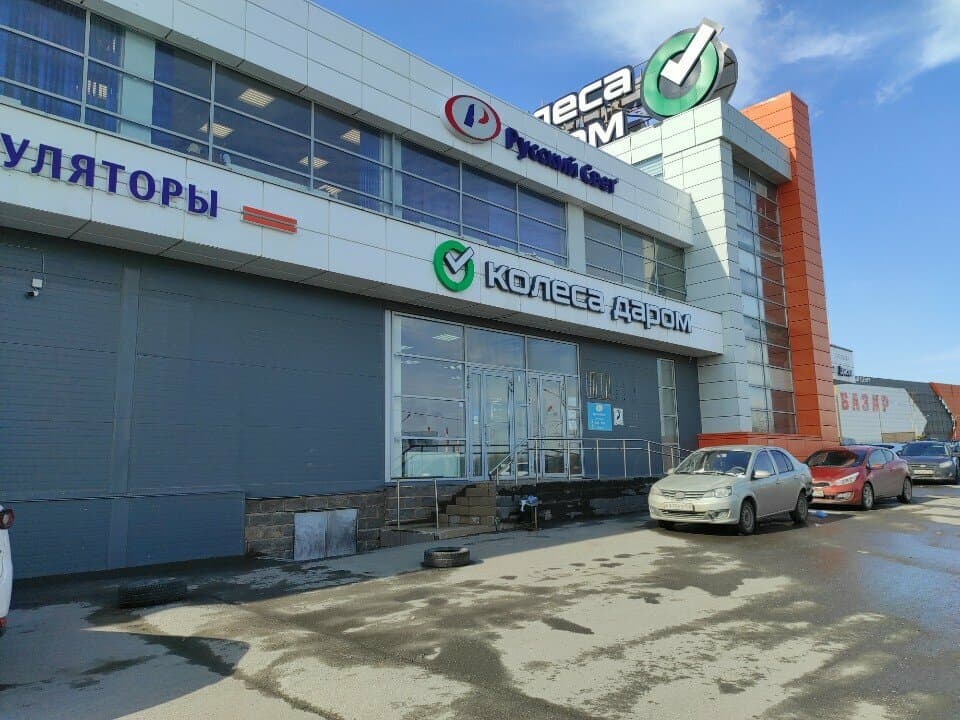 Кот Сфинкс