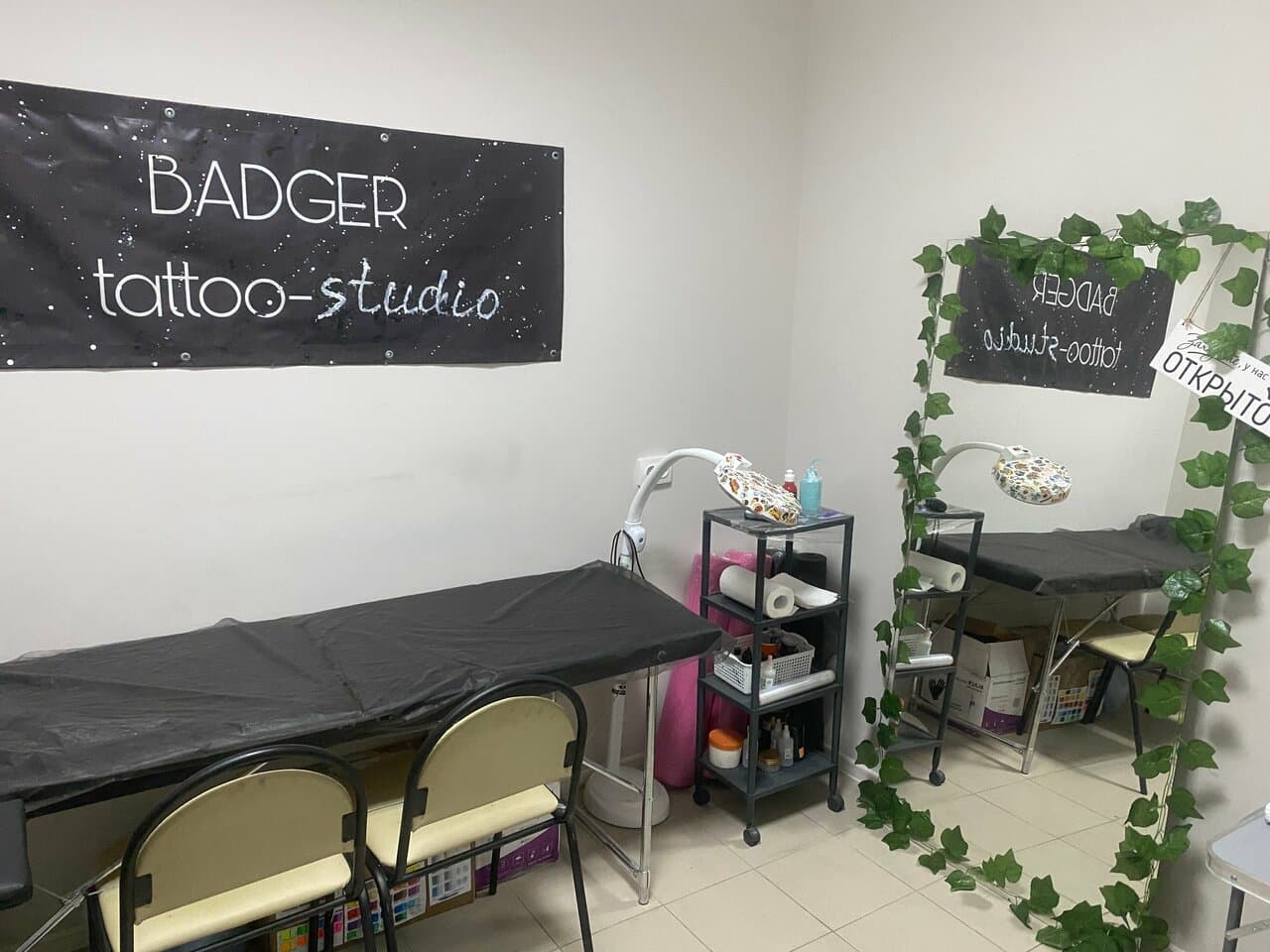 Badger studio