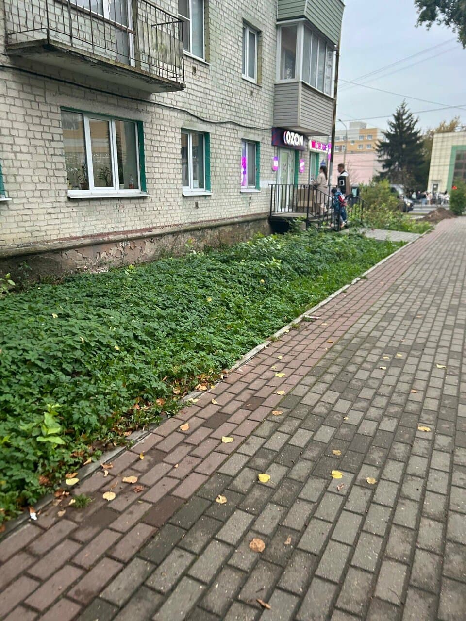 Работа