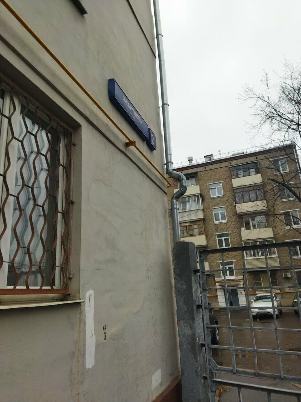 Гидра Тату