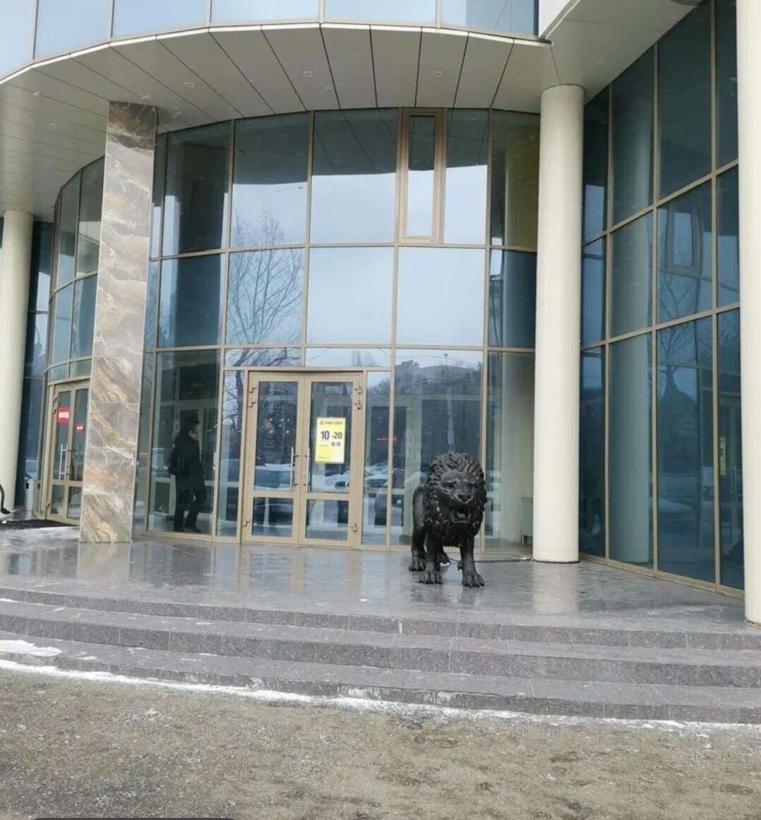 Студия Сарычевой Дины