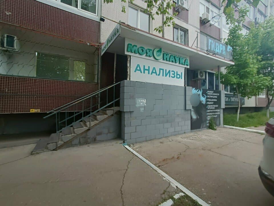 Гидра
