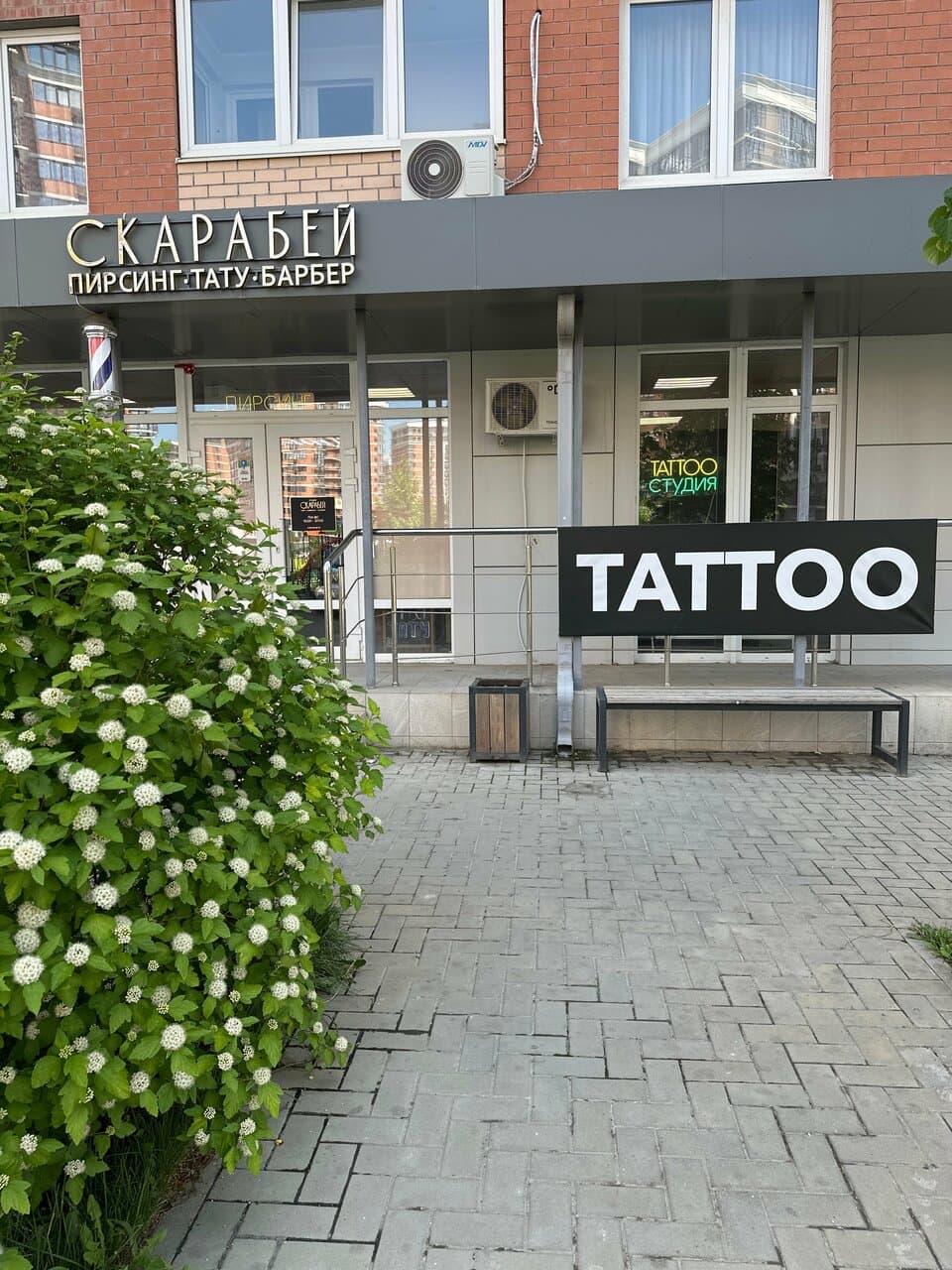Скарабей