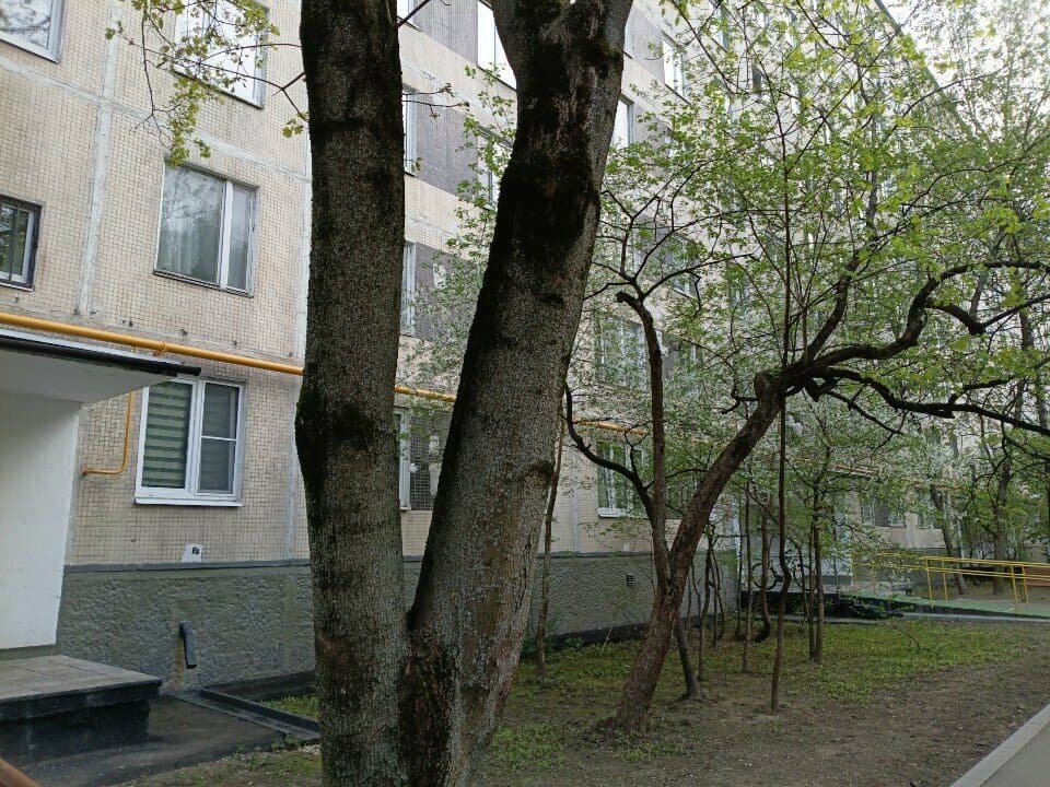 Работа
