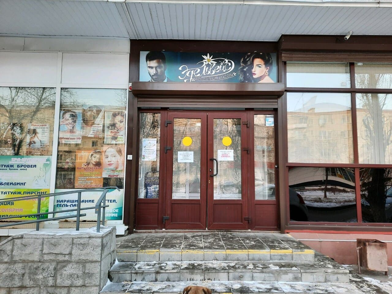 Эдельвейс