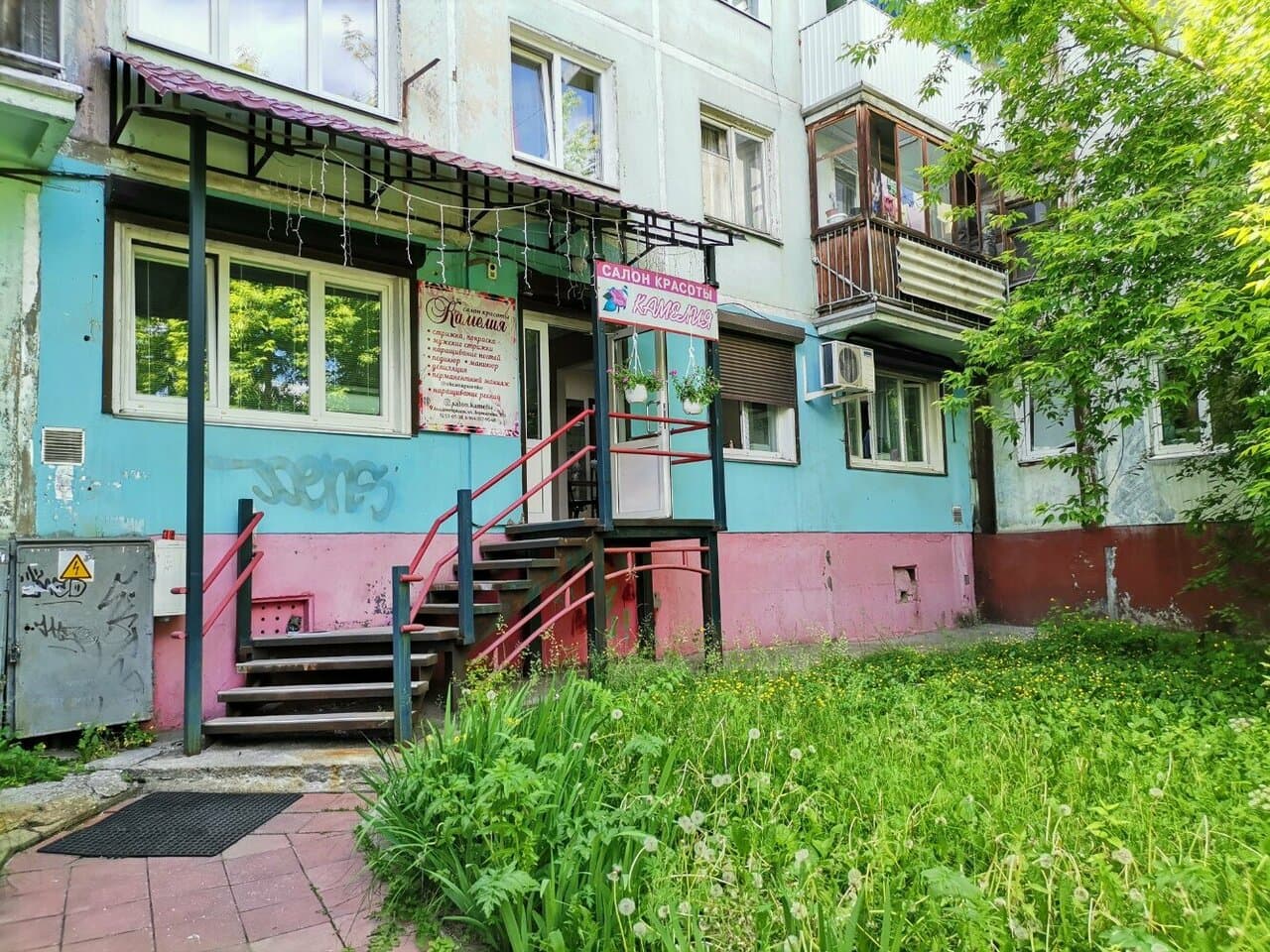 Камелия