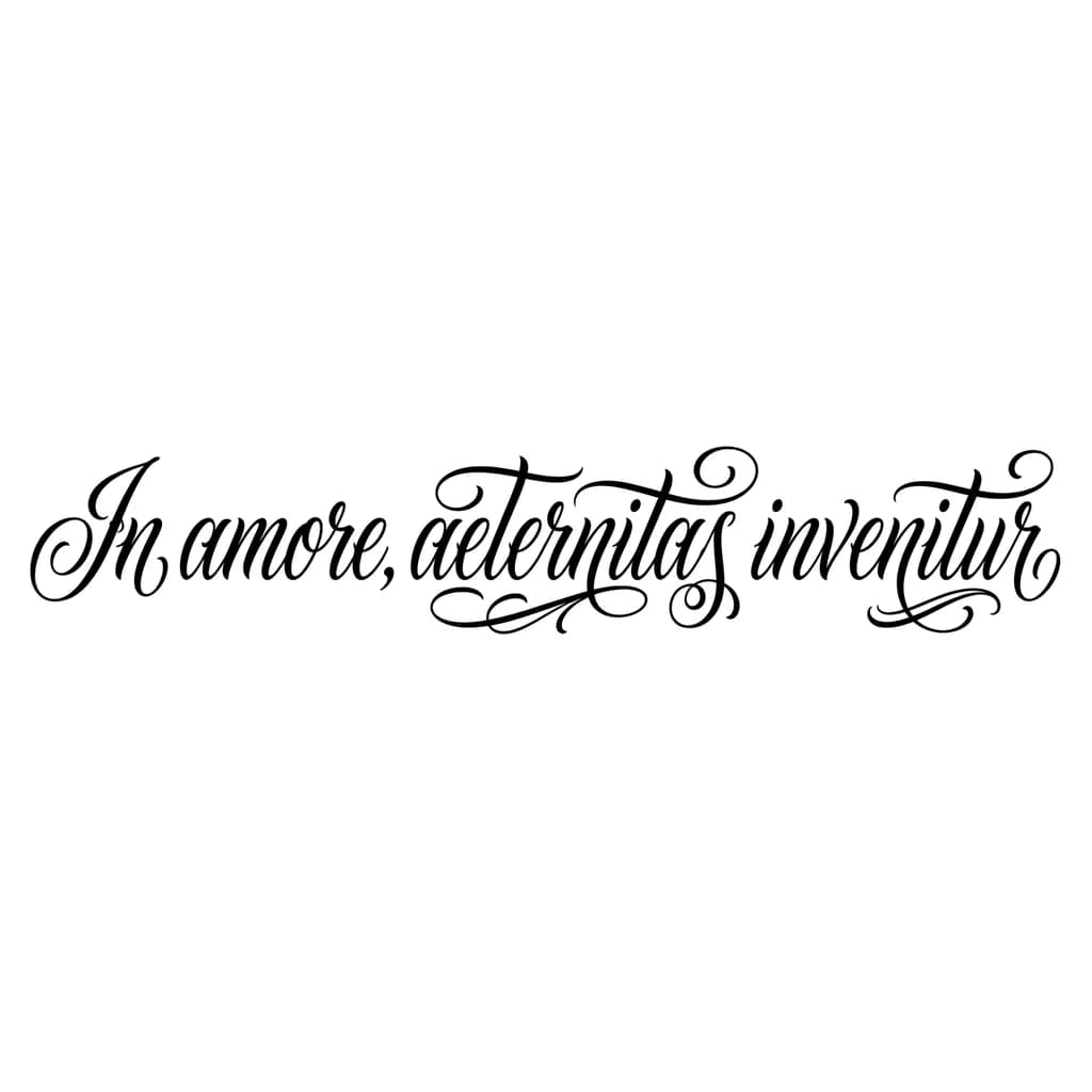 Тату эскиз: Font: In amore, aeternitas invenitur (elegant calligraphy)