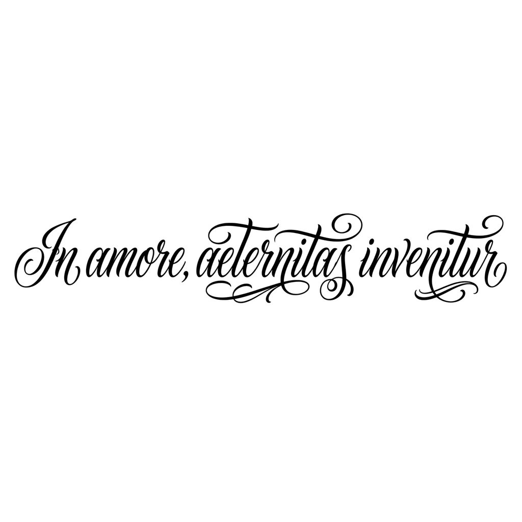 Font: In amore, aeternitas invenitur (elegant calligraphy)